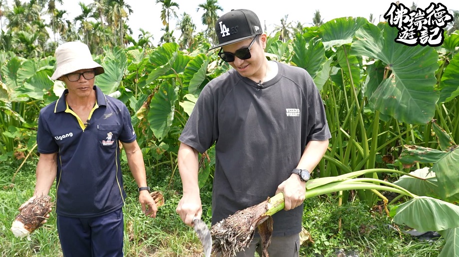 廚佛瑞德最新一集節目應海尼根台灣邀約 前往屏東尋找青農  新鮮體驗美食與飲品