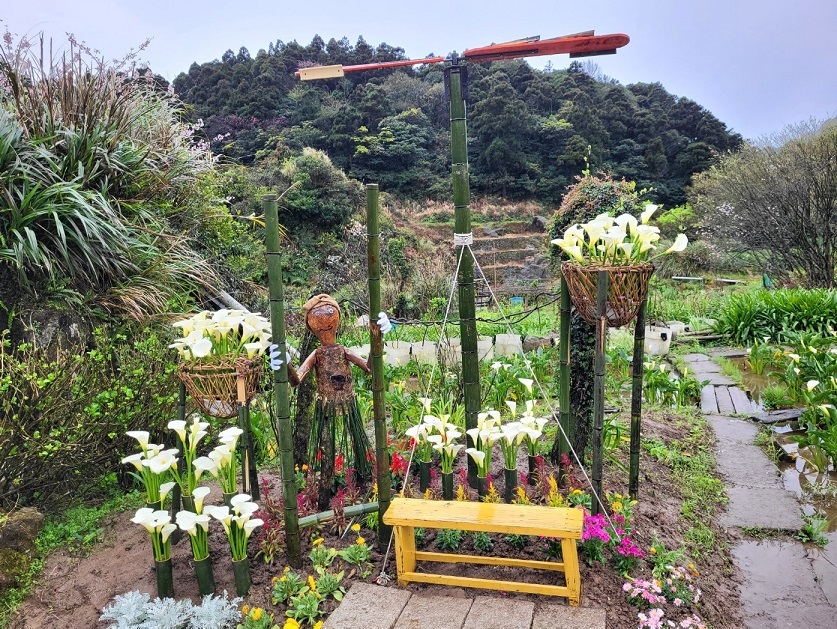 竹子湖海芋季及繡球花季開鑼 以芋見小時候為主軸 重拾童年的美好