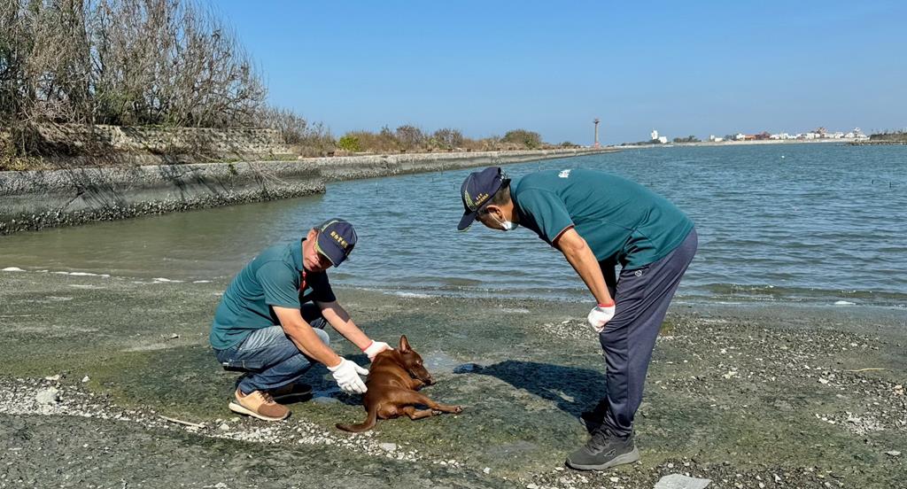 南市動物救援全年無休    24小時專線不漏接