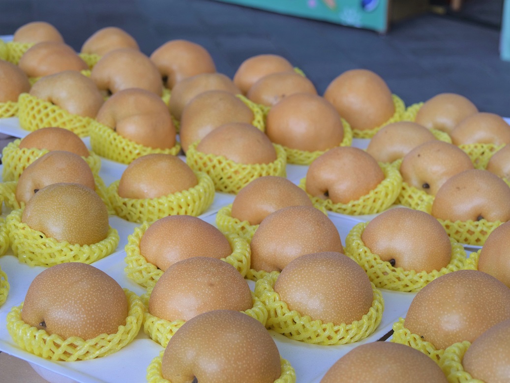 七月仲夏花博踏青市集漫遊GO 清涼憶趣一夏 宜蘭上將梨登場 七月仲夏花博踏青市集漫遊GO 清涼憶趣一夏 宜蘭上將梨登場