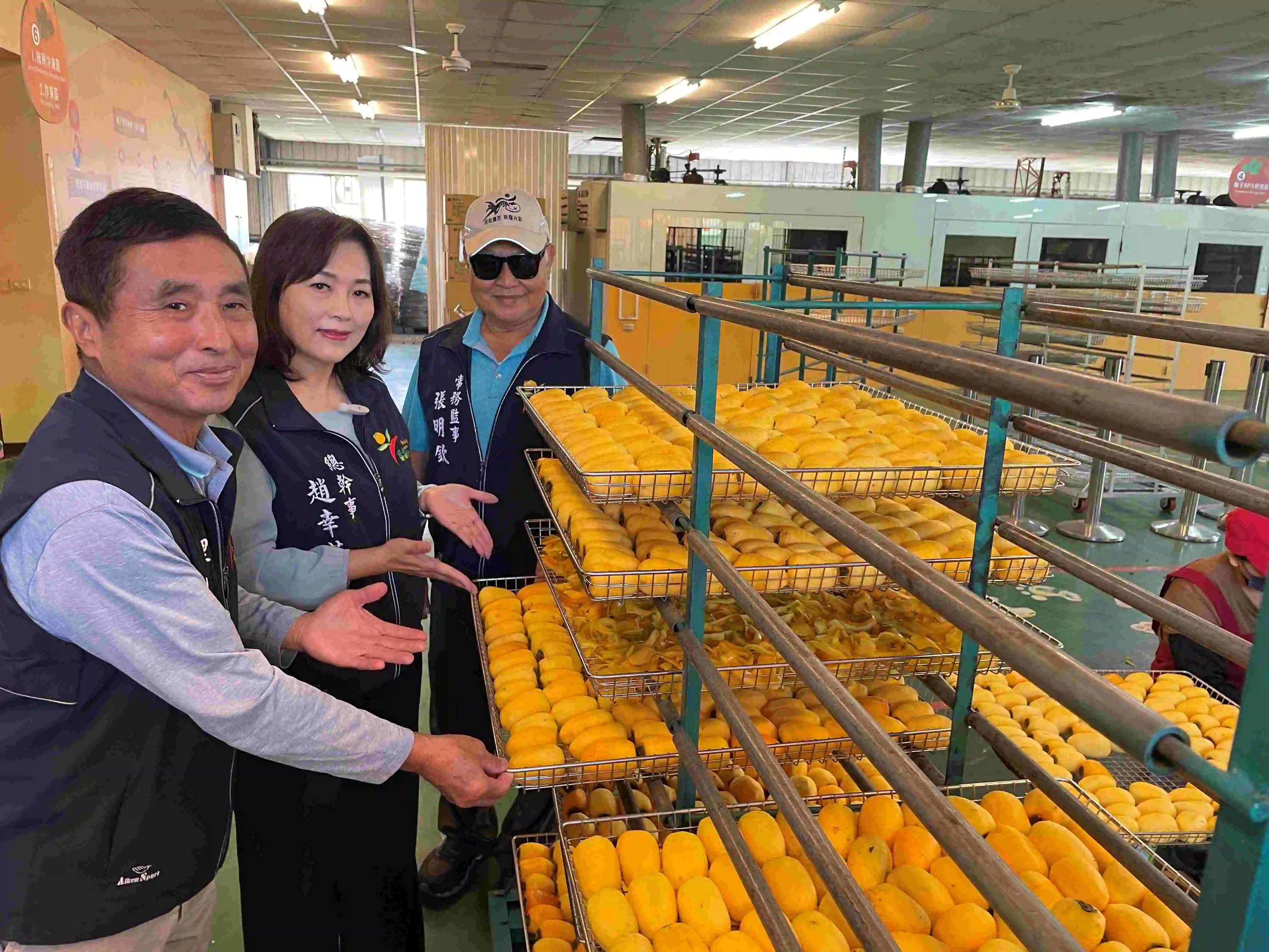番路鄉農會筆柿餅開工  下週上市將再現搶購潮 總幹事趙幸芳領航創新升級再突破  已啟動觀光工廠擴建計畫
