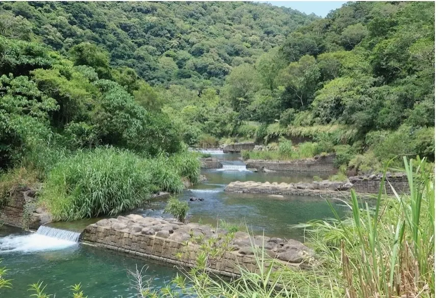 「雙流30」 雙流國家森林遊樂區慶30週年活動開跑 「雙流30」 雙流國家森林遊樂區慶30週年活動開跑