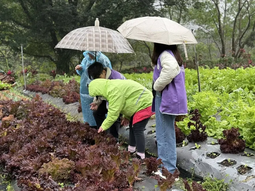 唐寶寶旬味探索之旅 學習自立與環保 寒流中冬令營完美結訓