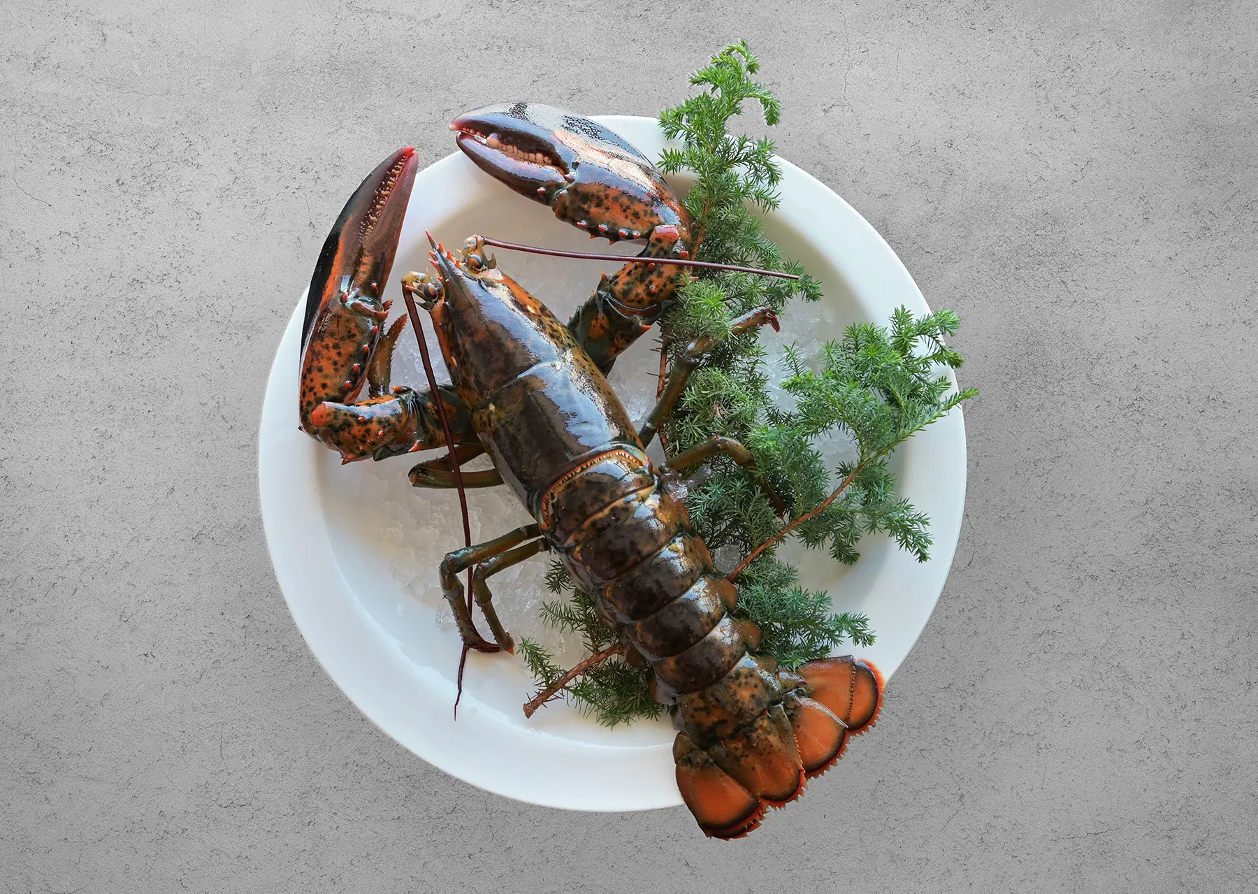 歡慶中華棒球隊晉級 高雄福華飯店龍蝦、飲品一送一同歡慶