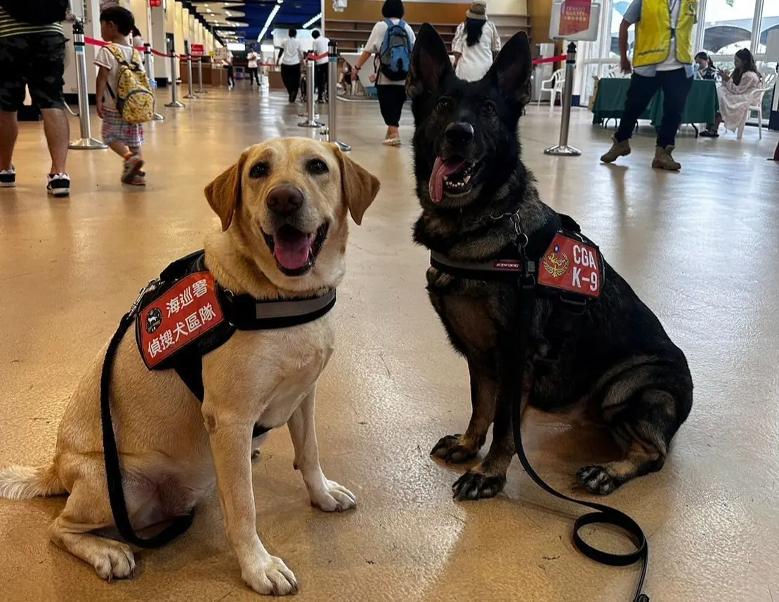 統一寵食益生菌機能糧讓毛孩愛不釋口，高雄寵物展新品搶先亮相！