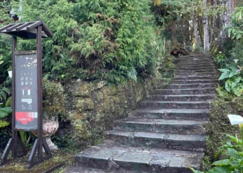 過浪漫的情人節抵嘉  搭配台北101點亮阿里山的浪漫  阿里山賓館推9折快閃優惠 