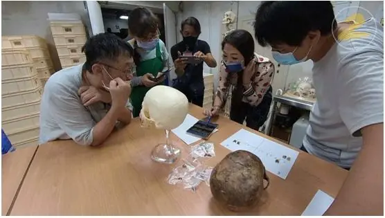 揭開1500年前的神秘頭顱～ 中國醫藥大學與國立自然科學博物館合作研究發現，清水中社考古遺址一具罕見倒置犬齒案例