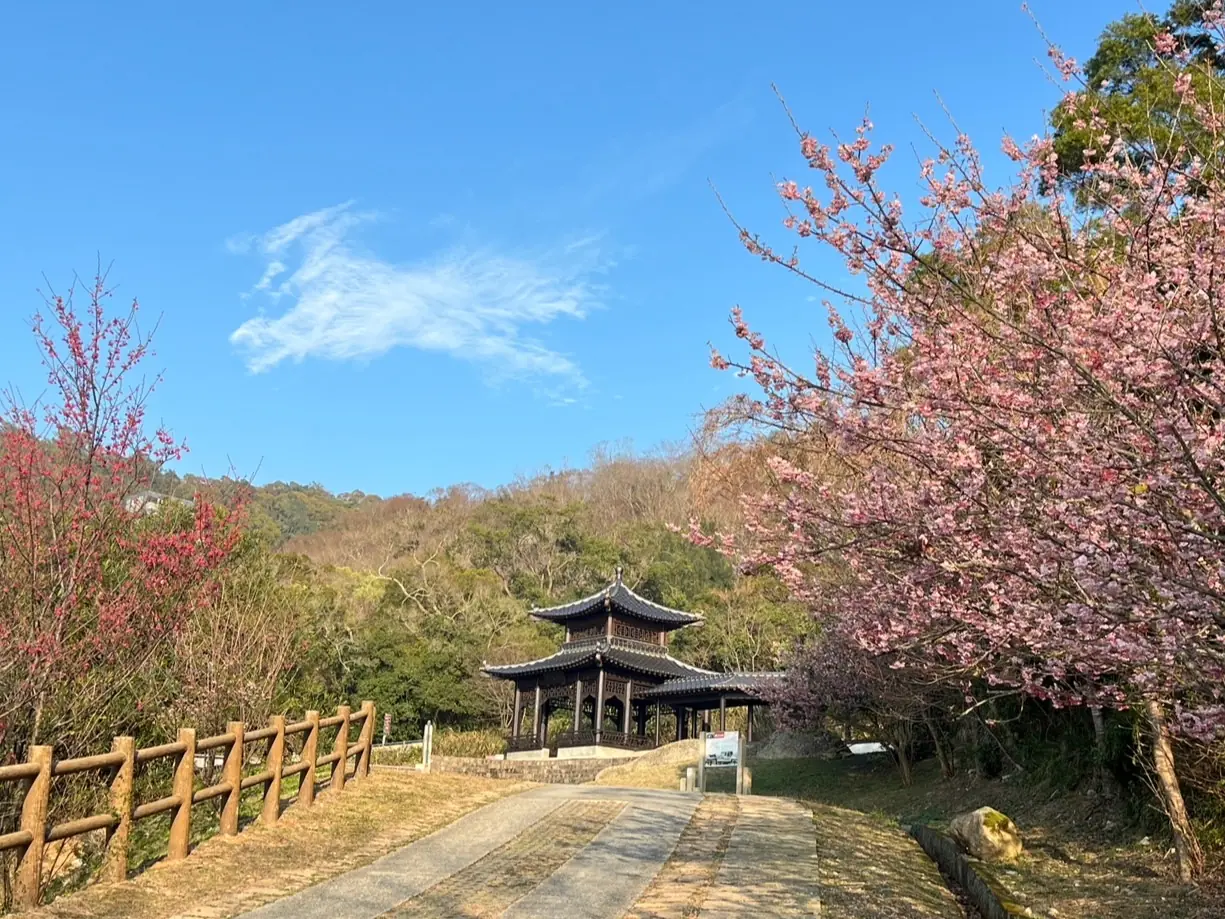 4時候來馬祖！「馬祖藍調時光」系列活動開跑 四大主題亮點揭曉
