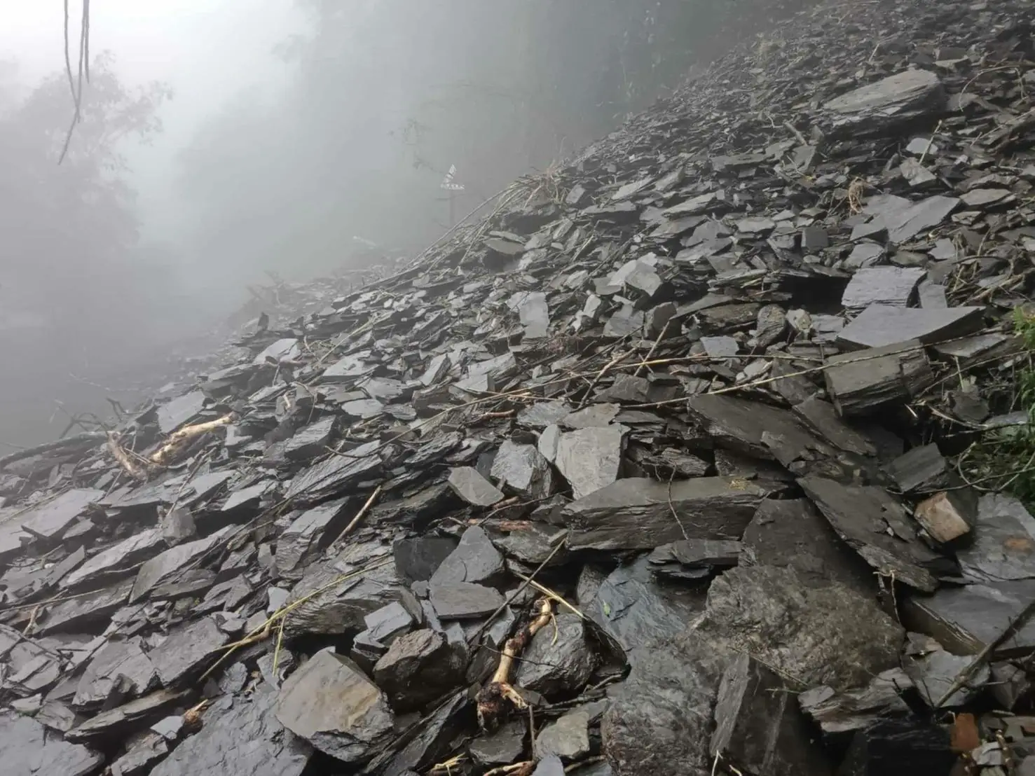 北大武山步道暫停開放期間延長至114年12月31日