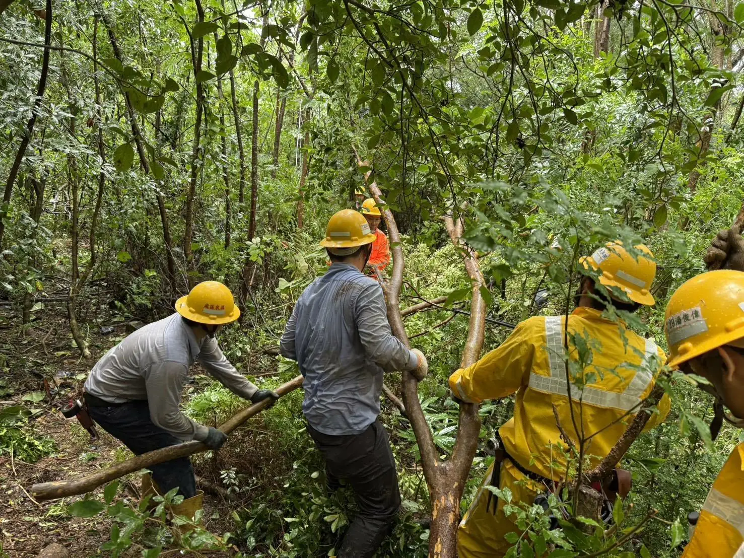 樺加沙颱風造成屏東地區停電6,268戶 經台電全力積極搶修 零星用戶預計今晚可全數復電