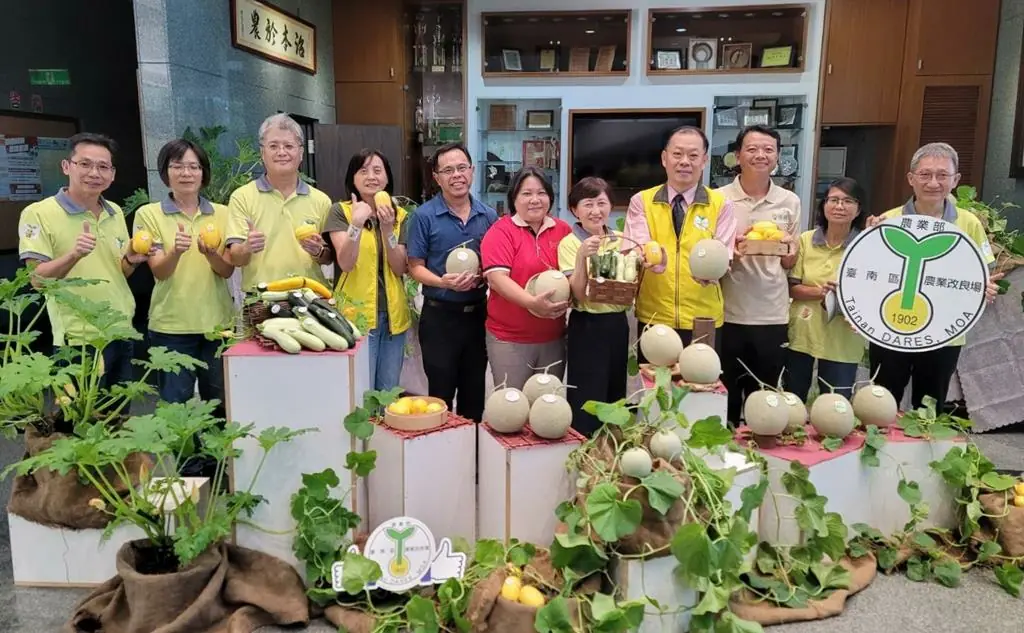 臺南農改場強化品種改良與健康管理 增加瓜果抗病與逆境適應力打造栽培新典範