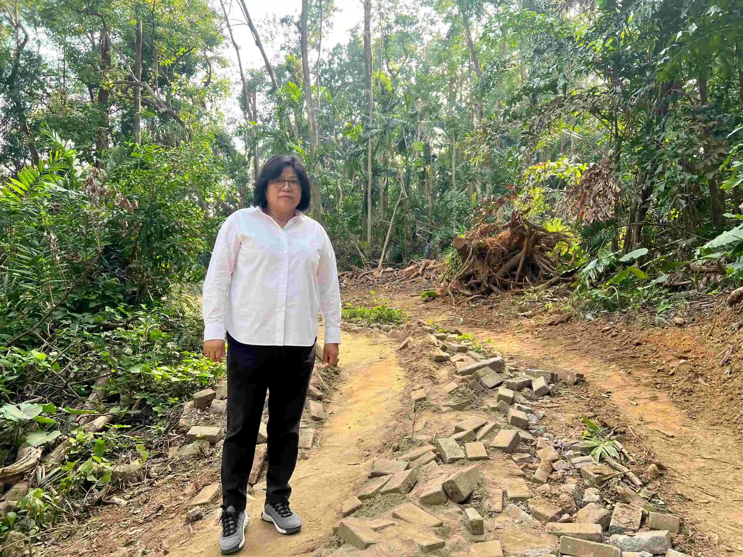 嘉義樹木園修復卡關  立委王美惠爭取經費到位　農業部長陳駿季指示加速辦理