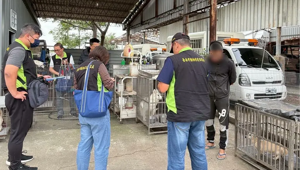 南市動保處公私協力打擊非法繁殖場   犬貓全數沒入並依法開法嚴懲不怠