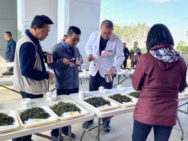 全國冬片茶製茶大賽   40位高手齊聚名間  宜蘭吳啟銘奪冠