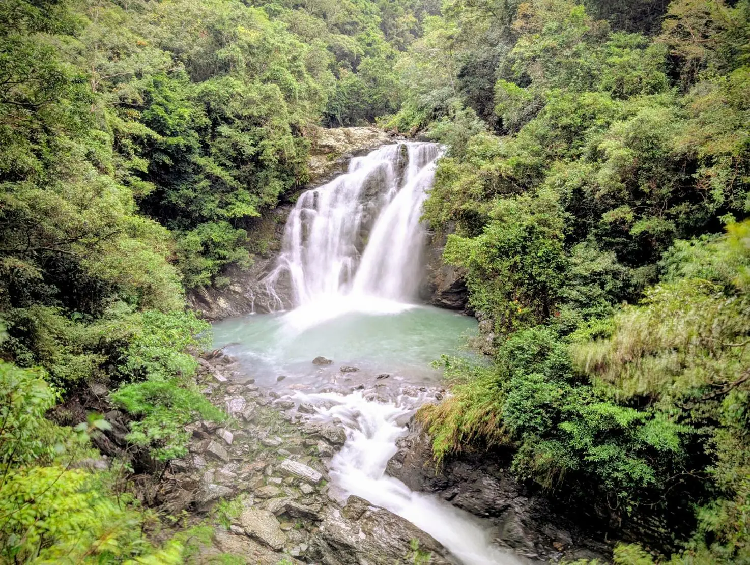 森林裡的跨年派對！走進墾丁、雙流，擁抱 2026 第一道芬多精