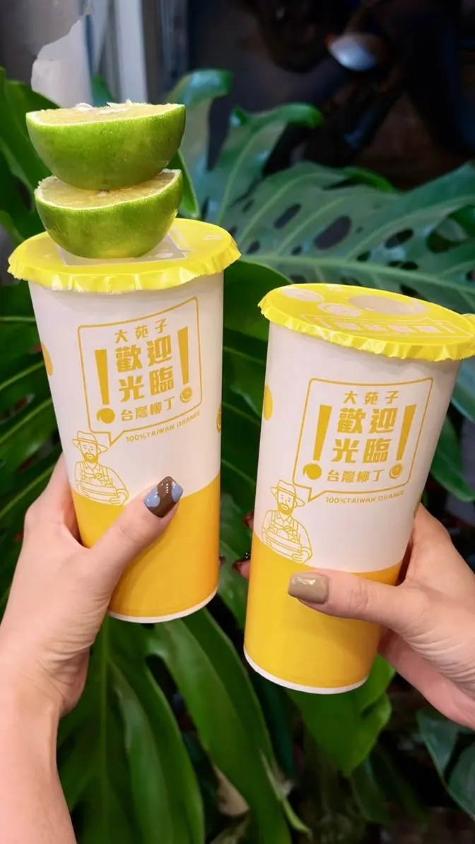 大苑子 一月「歡樂三重奏」接力登場 滿分應援 柳丁歡樂祭 每日夜間驚喜