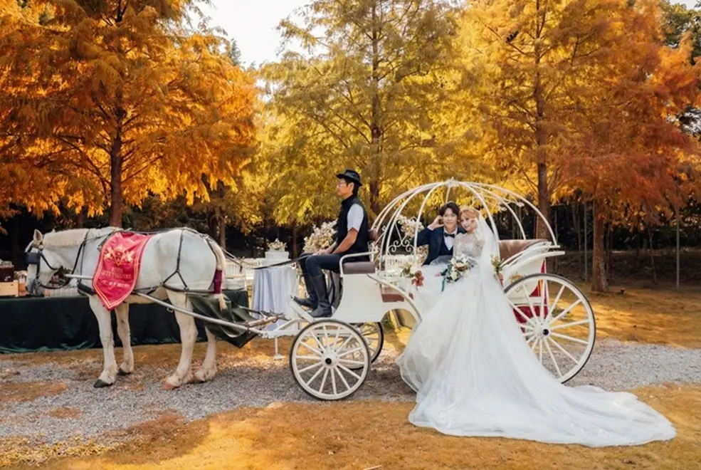 落羽松秘境成海外新人新寵 「南瓜馬車婚禮」展現台灣婚宴軟實力