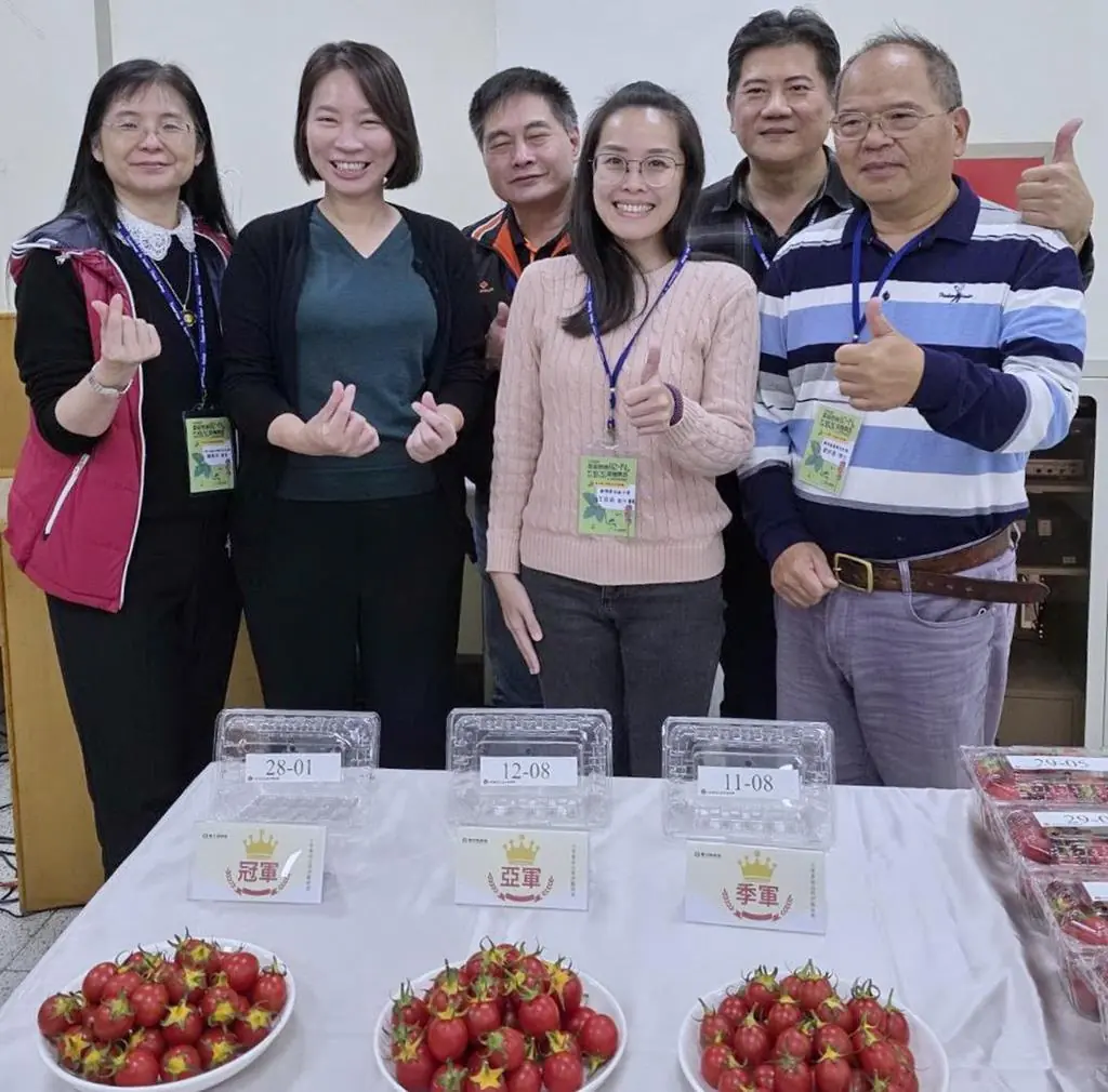 鹽水區農會小果番茄評鑑   產業活動公開表揚激勵提升種植技術
